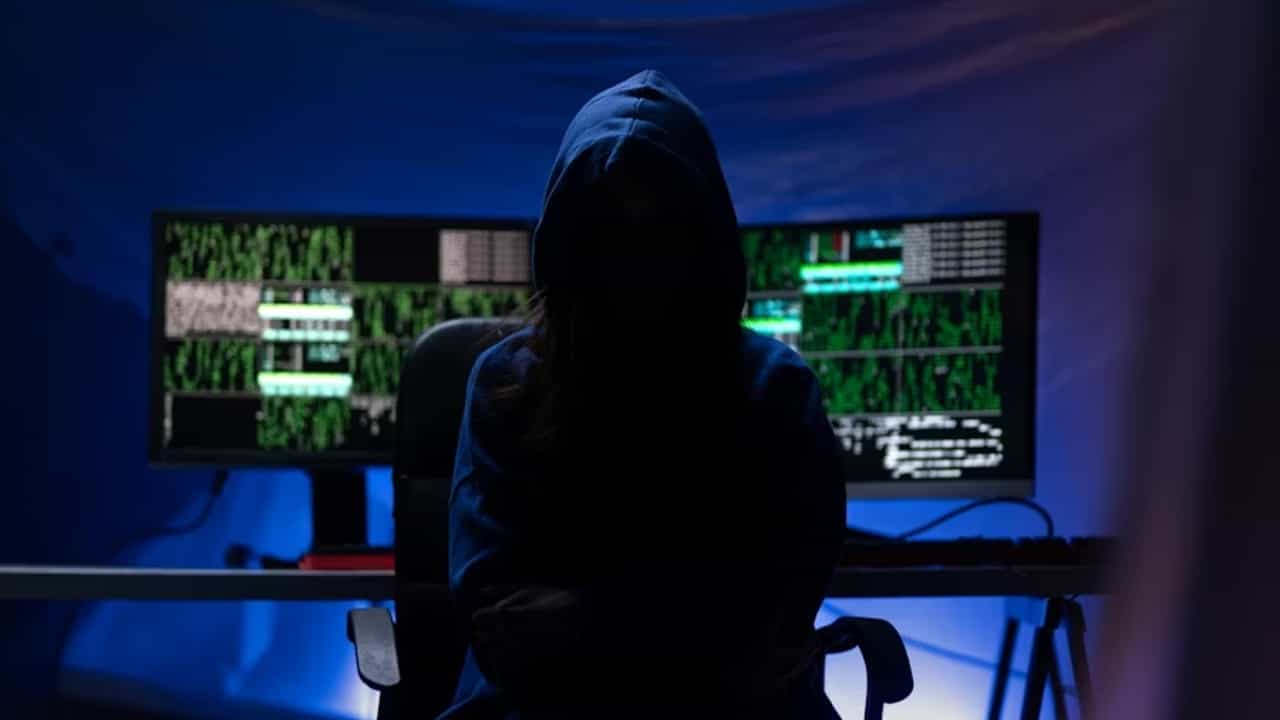 The silent behavior of fraudsters: what credit scores don't see