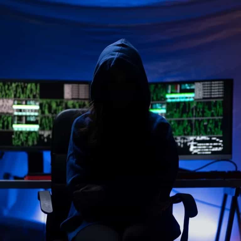 The silent behavior of fraudsters: what credit scores don't see