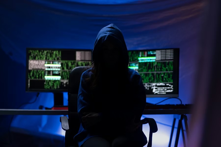 The silent behavior of fraudsters: what credit scores don't see