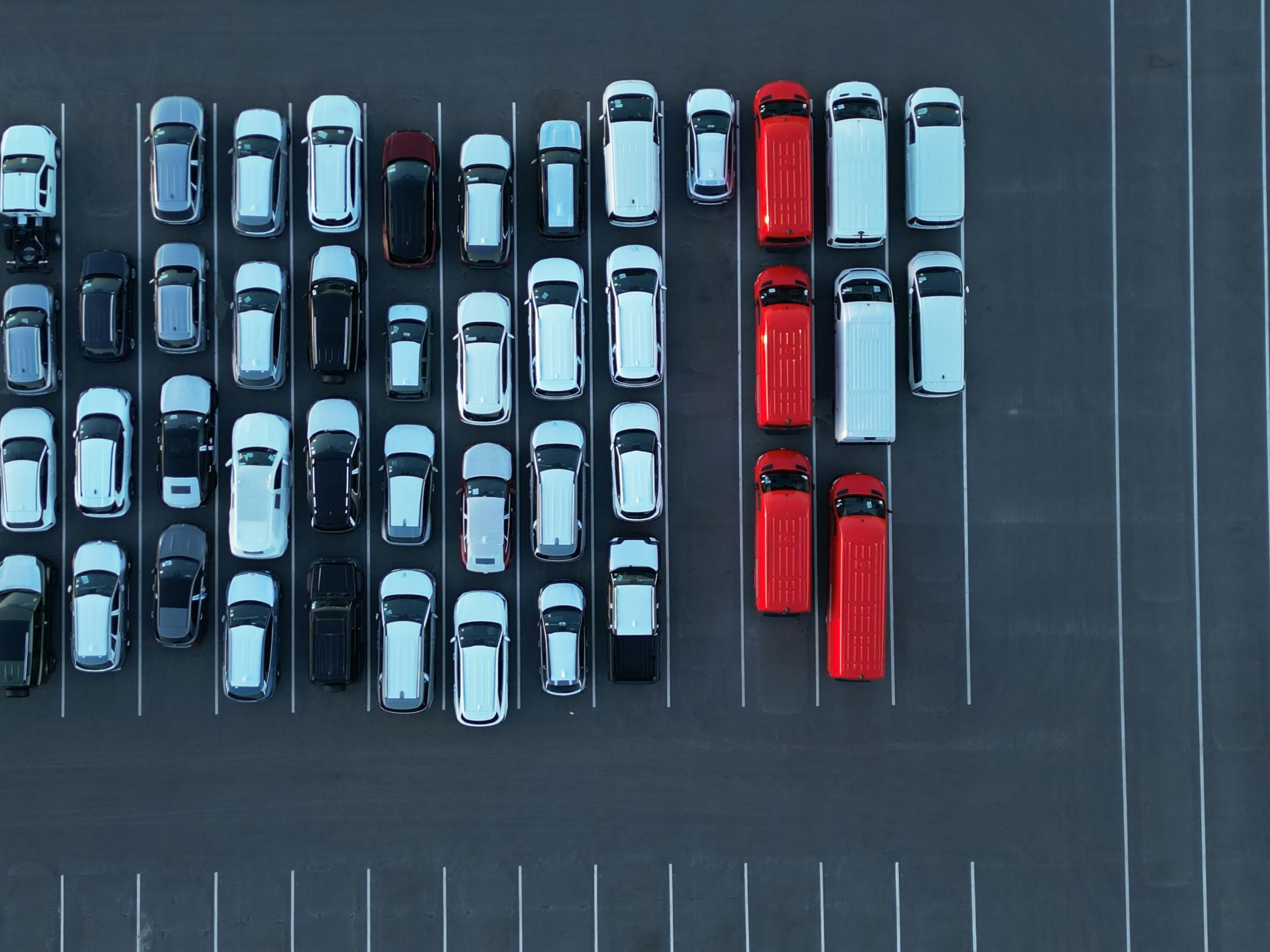 Fleet claims management: 5 practices to reduce losses and protect the loss ratio